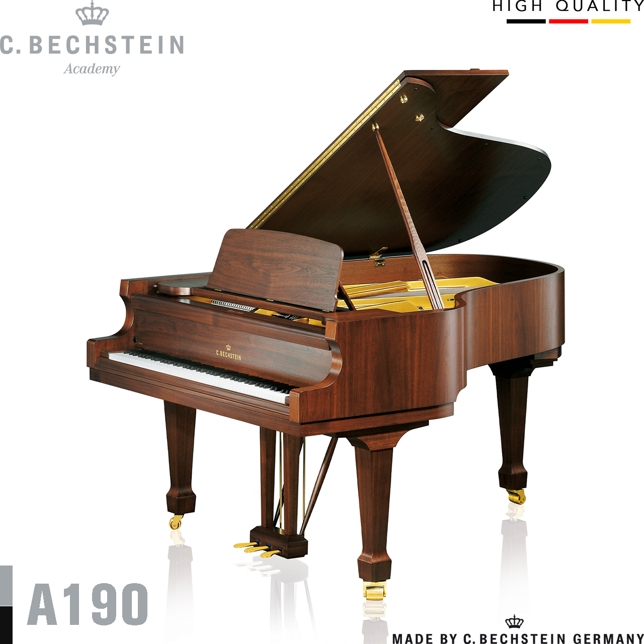 ĐÀN PIANO GRAND C. BECHSTEIN A190 (TỪ 2.108 TRIỆU)