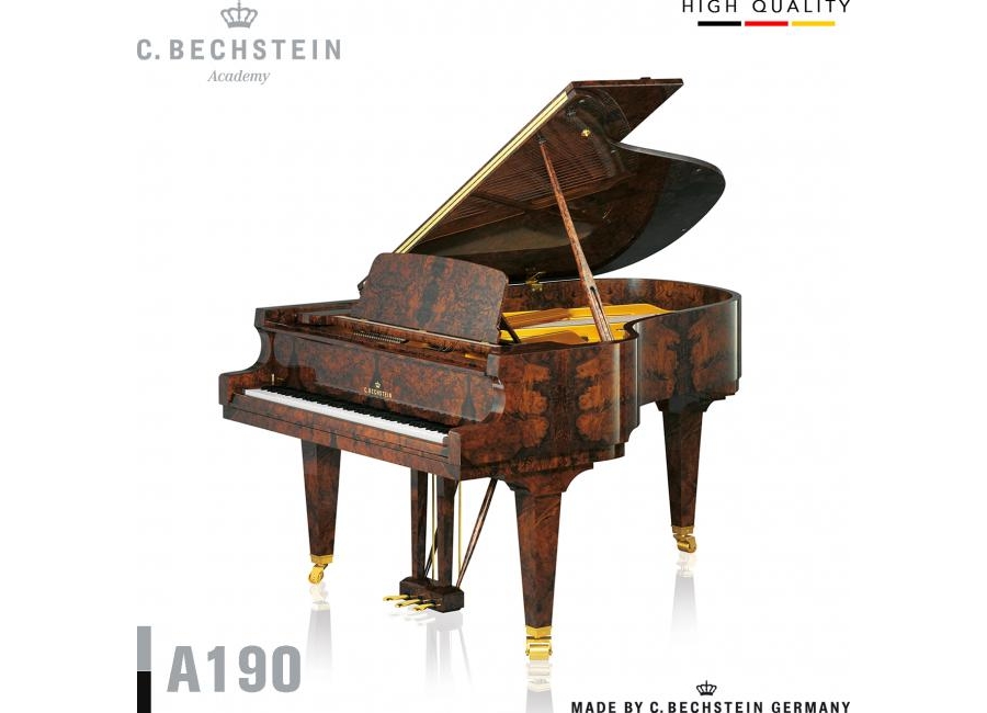 ĐÀN PIANO GRAND C. BECHSTEIN A190 (TỪ 1.848 TRIỆU)
