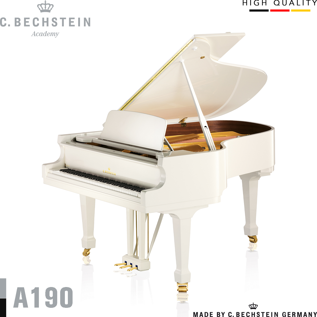 ĐÀN PIANO GRAND C. BECHSTEIN A190 (TỪ 2.108 TRIỆU)