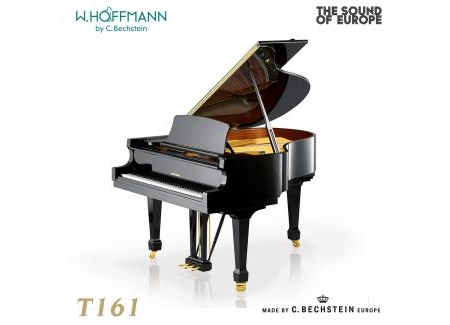 ĐÀN PIANO GRAND W. HOFFMANN T161 (TỪ 1.198 TRIỆU)