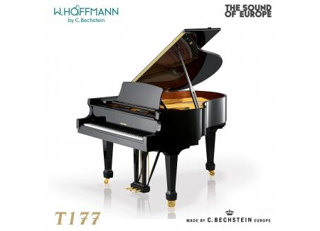 ĐÀN PIANO GRAND W. HOFFMANN T177 (TỪ 1.338 TRIỆU)