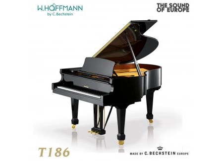 ĐÀN PIANO GRAND W. HOFFMANN T186 (TỪ 1.468 TRIỆU)