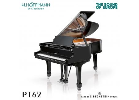 ĐÀN PIANO GRAND W. HOFFMANN P162 (TỪ 1.398 TRIỆU)